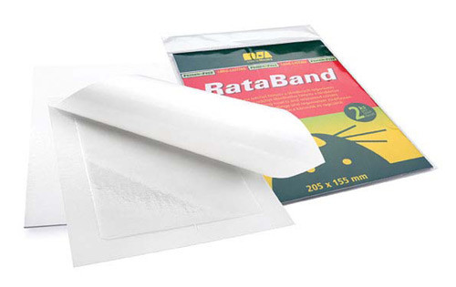 RataBand, a trap for crawling insects and rodents